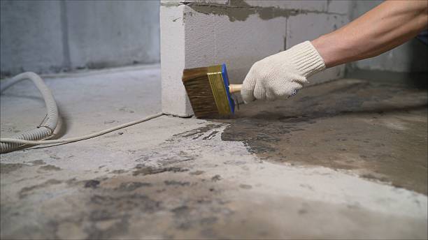 24/7 Emergency Exterior Waterproofing experts in Evensville, TN